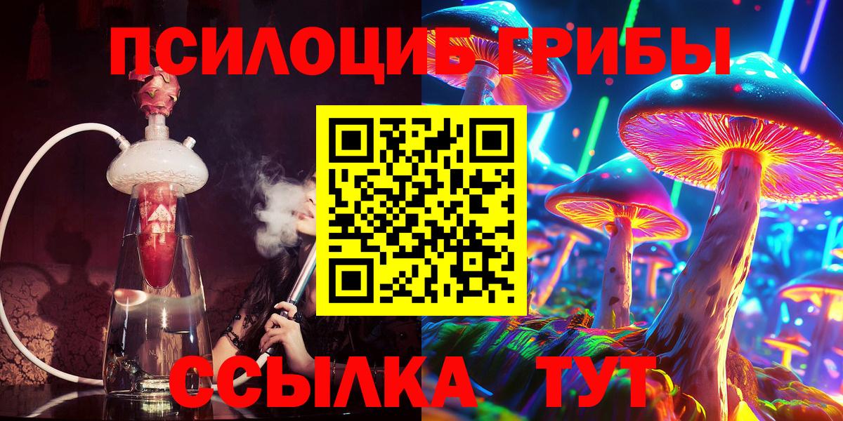 Дальнереченск  Галлюциногенные грибы Psilocybine cubensis  купить наркотик  Вход с VPN 