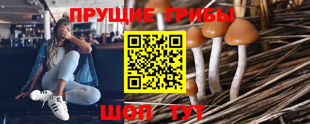 Галлюциногенные грибы ЛСД Дальнереченск